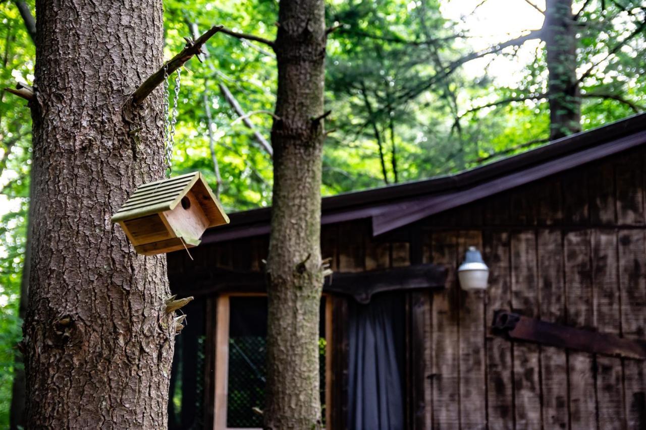 Avenwood Cabins Logan Ngoại thất bức ảnh